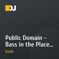 Public Domain - Bass in the Place (Operation Blade DJ KoniG Remix)