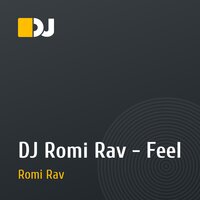 DJ Romi Rav - Feel