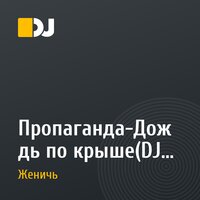 Пропаганда-Дождь по крыше(DJ Женичь Remix)