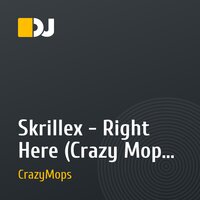 Skrillex - Right Here (Crazy Mops Edit)