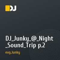 DJ_Junky_@_Night_Sound_Trip p.2