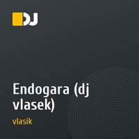 Endogara (dj vlasek)