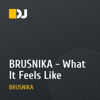 BRUSNIKA - What It Feels Like