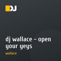 dj wallace - open your yeys