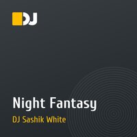 Night Fantasy