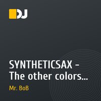 SYNTHETICSAX - The other colors (DJ Mr. BоB remiX)