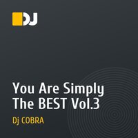 You Are Simply The BEST Vol.3