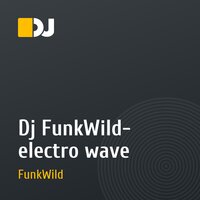 Dj FunkWild- electro wave