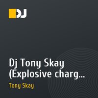 Dj Tony Skay (Explosive charge Original Mix 2011)