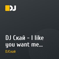 DJ Скай - I like you want me [bootleg mix]