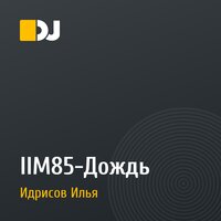 IIM85-Дождь