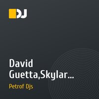 David Guetta,Skylar Grey vs New World Sound and Thomas Newson - She Shot Me Down (Petrof Djs Mashup 2014)