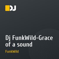 Dj FunkWild-Grace of a sound