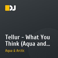 Tellur - What You Think (Aqua and Arctic Remix)