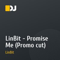 LinBit - Promise Me (Promo cut)