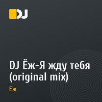 DJ Ёж-Я жду тебя (original mix)