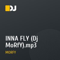 INNA FLY (Dj MoRfY).mp3