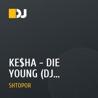 KE$HA - DIE YOUNG (DJ SHTOPOR REMIX)