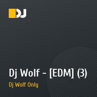 Dj Wolf - [EDM] (3)
