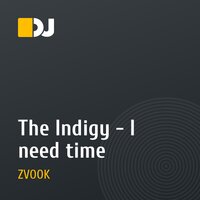 The Indigy - I need time
