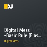 Digital Mess -Basic Rule [Flash Records 2010]