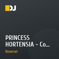 PRINCESS HORTENSIA - Come all over me(DJ Reversei Remix-2019)