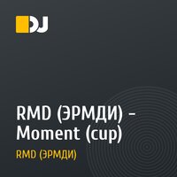 RMD (ЭРМДИ) - Moment (cup)