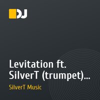 Levitation ft. SilverT (trumpet) - More Than Ever People