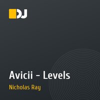 Avicii - Levels