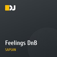 Feelings DnB