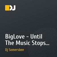 BigLove - Until The Music Stops (Dj Somersbee Rmx)
