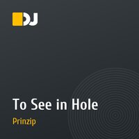 To See in Hole