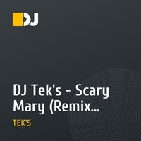 DJ Tek's - Scary Mary (Remix 2009)