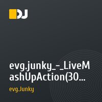 evg.junky_-_LiveMashUpAction(30.08.2012)