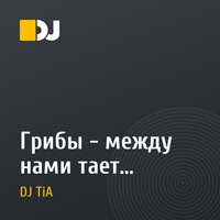 Грибы - между нами тает лед(DJ.TIA Remix)