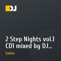 2 Step Nights vol.1 CD1 mixed by DJ Vaden
