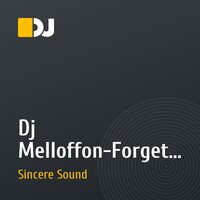 Dj Melloffon-Forget(Sincere Sound Remix)