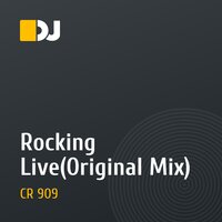 Rocking Live(Original Mix)