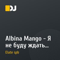 Albina Mango - Я не буду ждать (DjElate Remix)