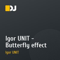 Igor UNIT - Butterfly effect