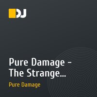 Pure Damage - The Strange Beetle (Original mix)