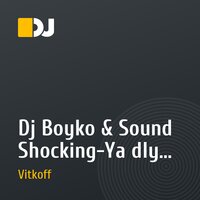 Dj Boyko & Sound Shocking-Ya dlya tebya (Dj Vitkoff bootleg)