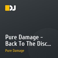 Pure Damage - Back To The Disco (Original Mix)