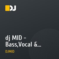 dj MID - Bass,Vocal & melody  (Electro Mix 2009)