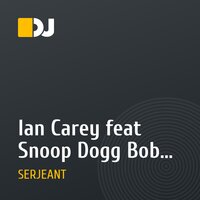 Ian Carey feat Snoop Dogg Bobby Anthony - Last Night Serjeant Remix