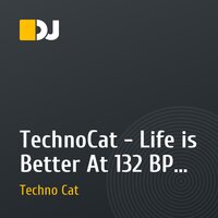 TechnoCat - Life is Better At 132 BPM (original )
