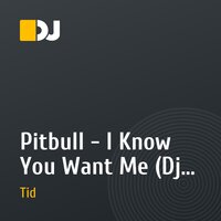 Pitbull - I Know You Want Me (Dj Tid remix radio edit)