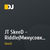 JT SkeeD - Riddle(Минусовка)