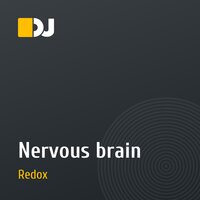 Nervous brain