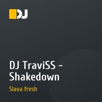 DJ TraviSS - Shakedown
